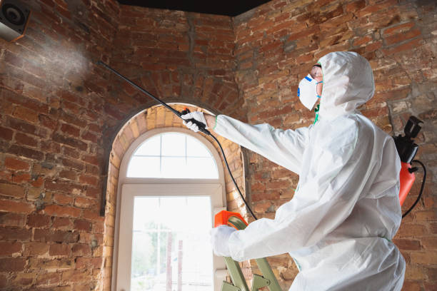 Best Forensic Mold Investigation  in Westminster, CO